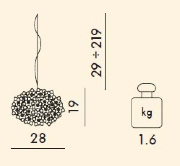 Bloom Redonda Ficha 1